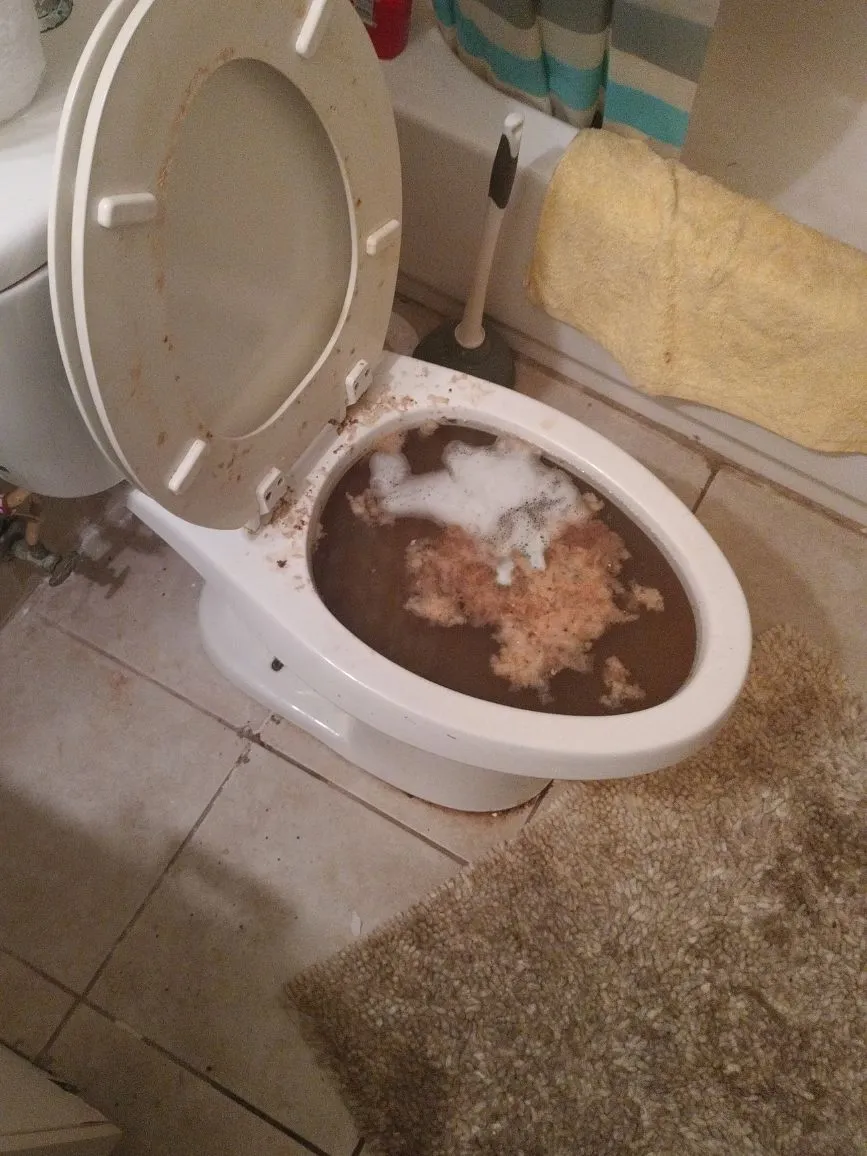 Blocked toilet plumber Nairobi