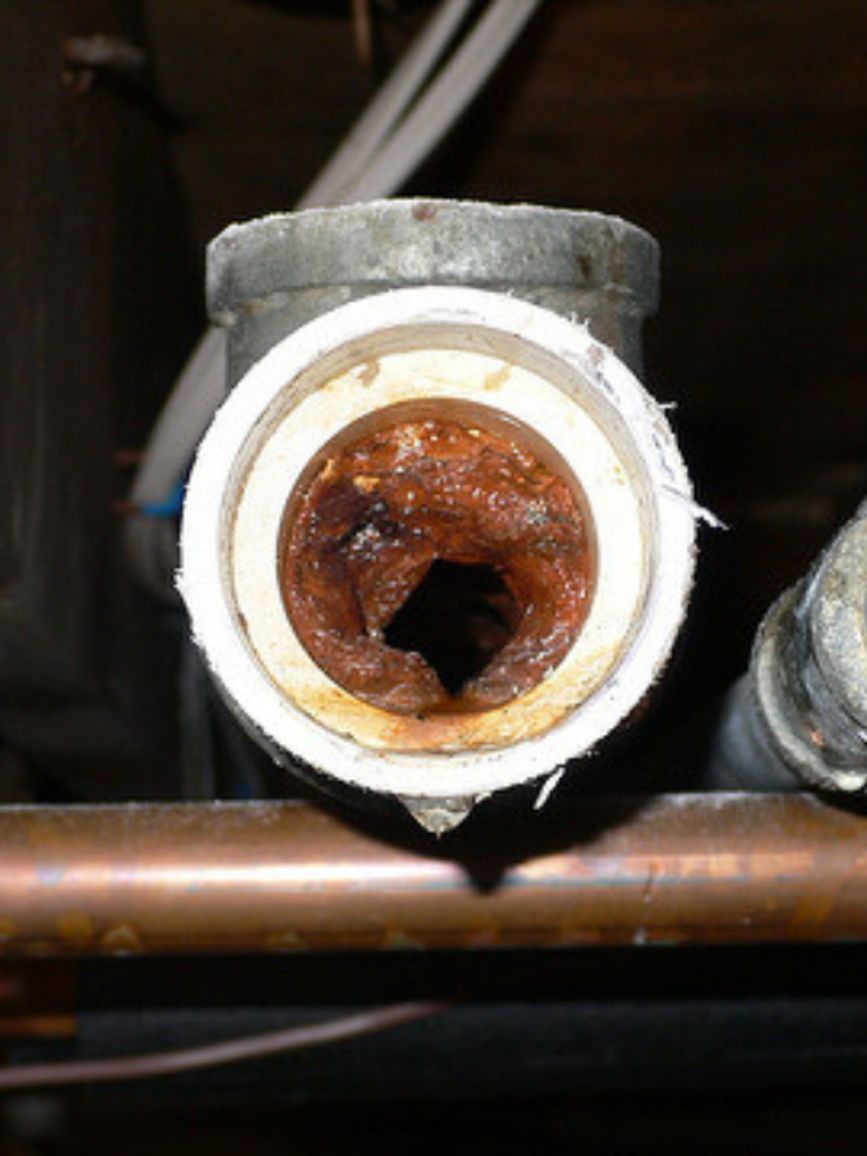 Toilet repair & unclogging drain lines